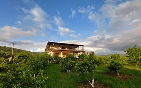 Guest House Xhaferaj