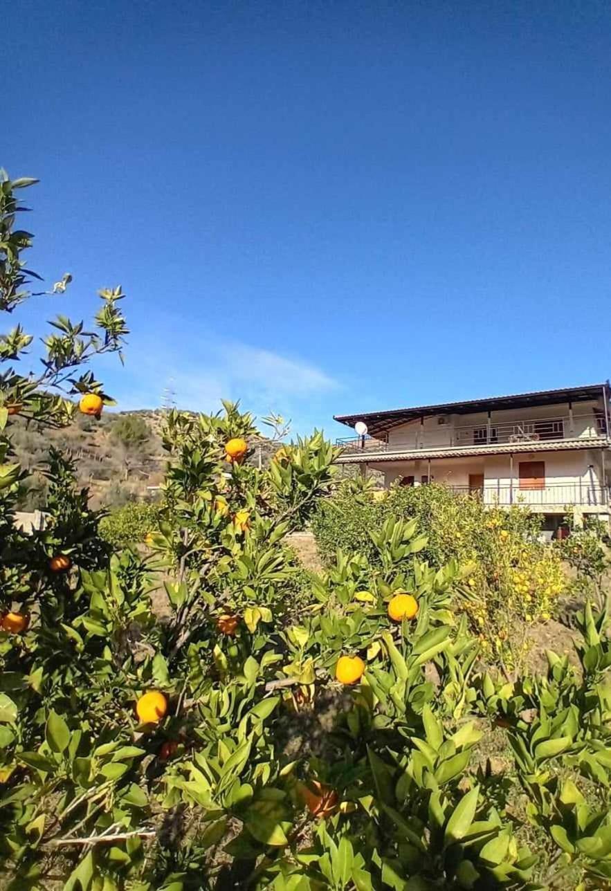 Guest House Xhaferaj Berat Extérieur photo